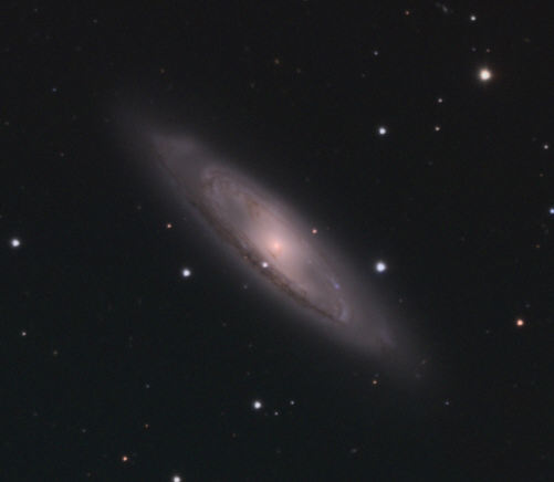 M 65