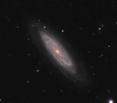 NGC 4100