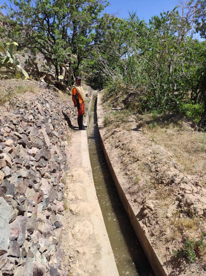 irrigation